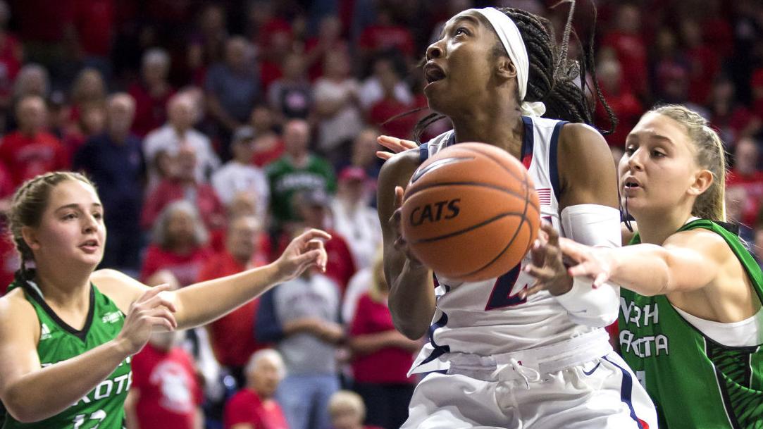 Cate Reese's big night leads Arizona Wildcats to season-opening win over North Dakota